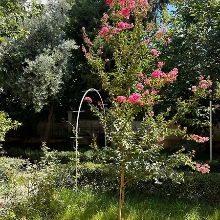Villa Havuzlu Bahceli